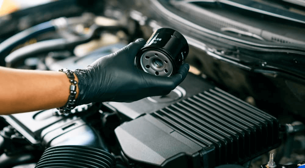 Engine & Oil , Filter Change