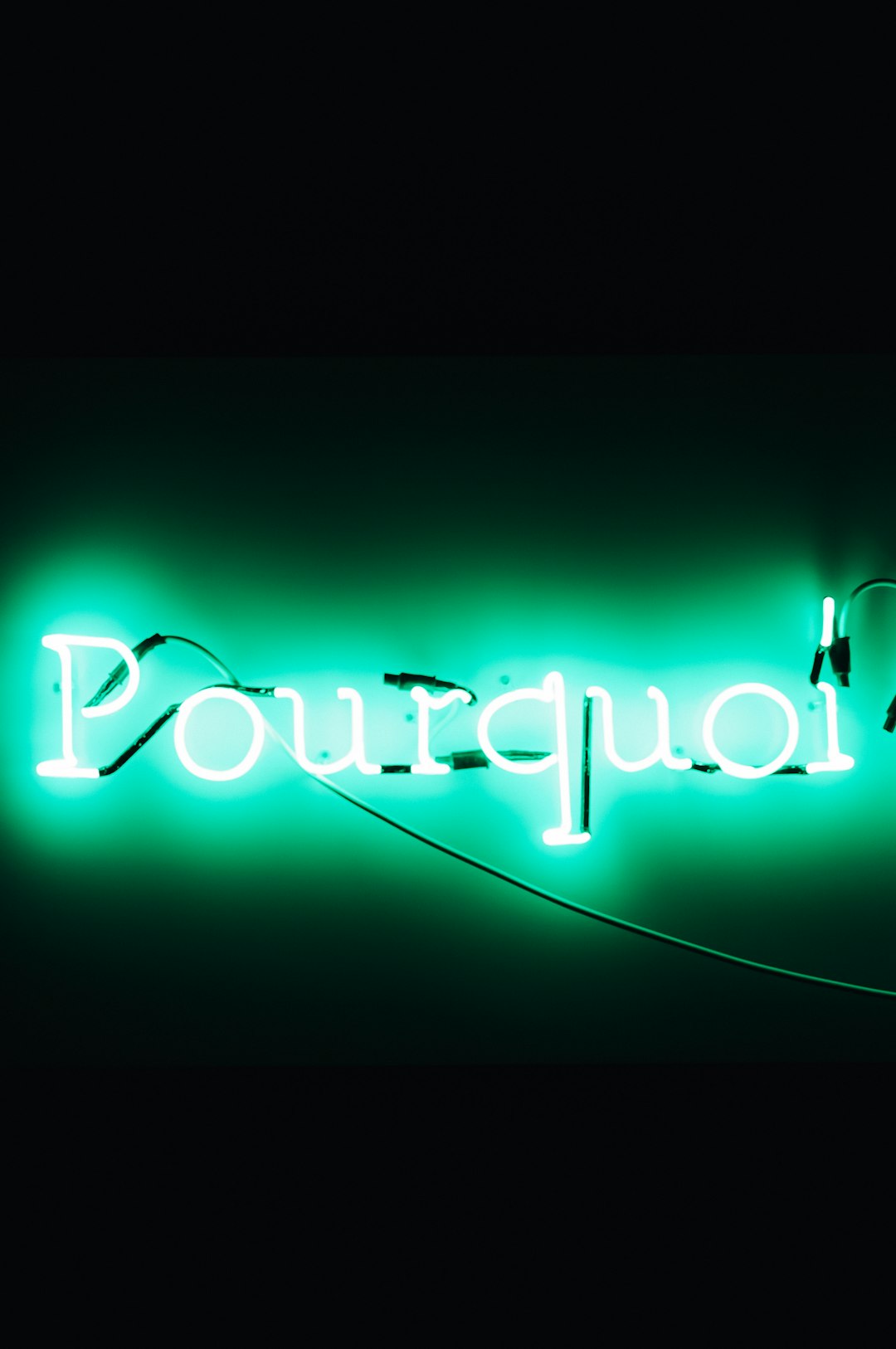 est quasi alias impedit 24