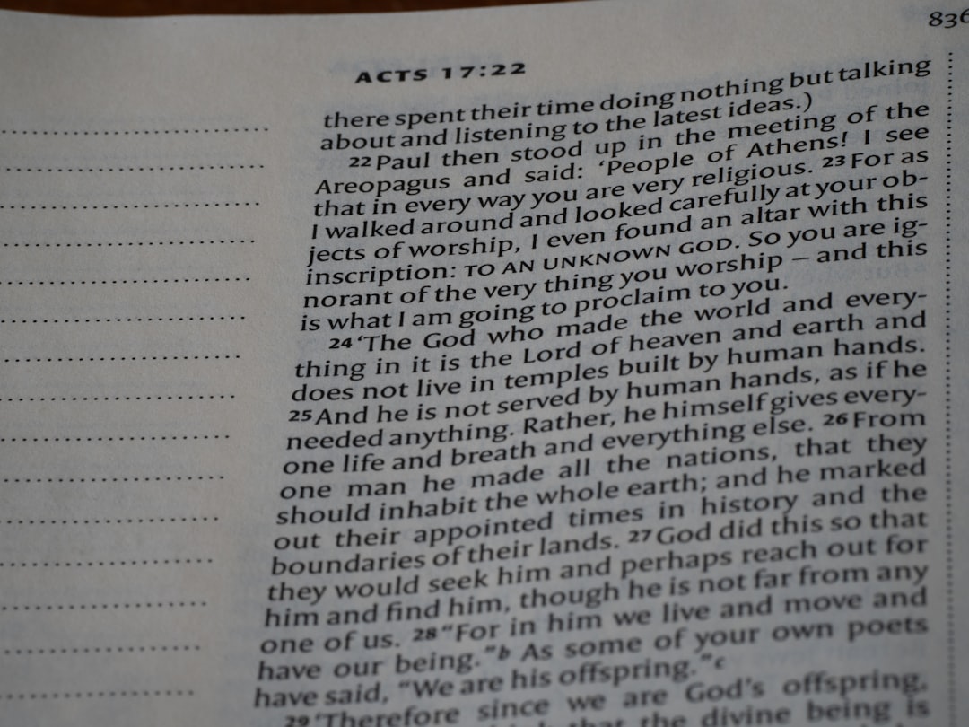 recusandae quasi 27