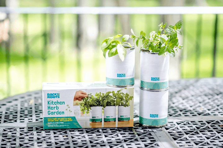 Mini Herb Grow Kit (Basil & Mint) 