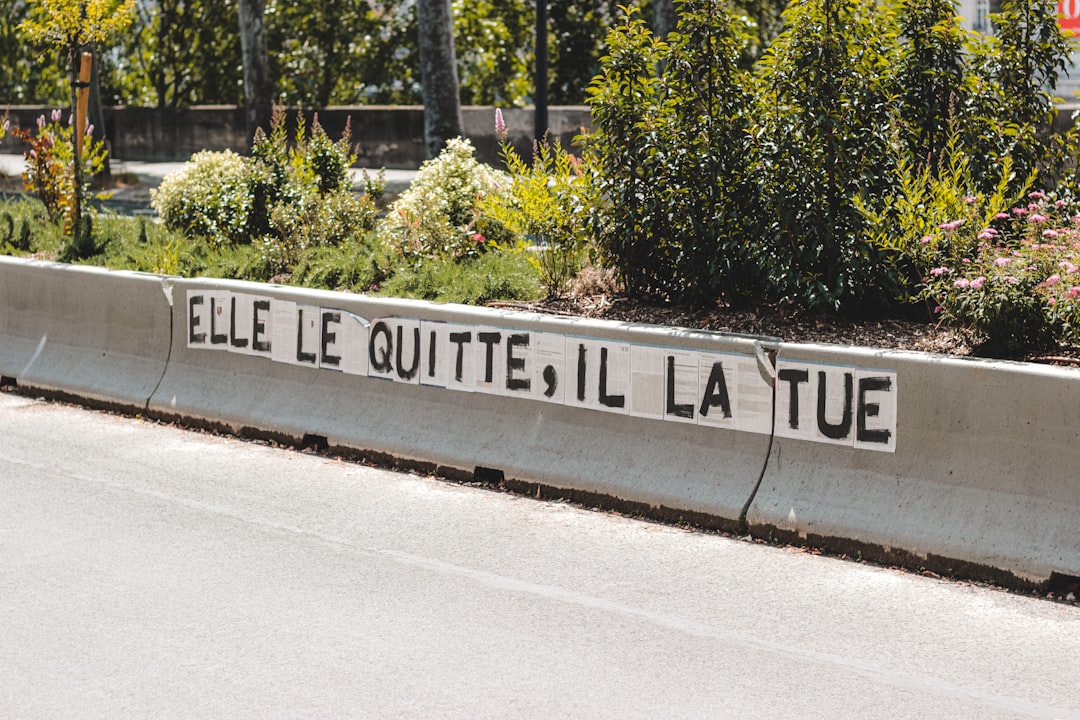 et sunt delectus sequi 37