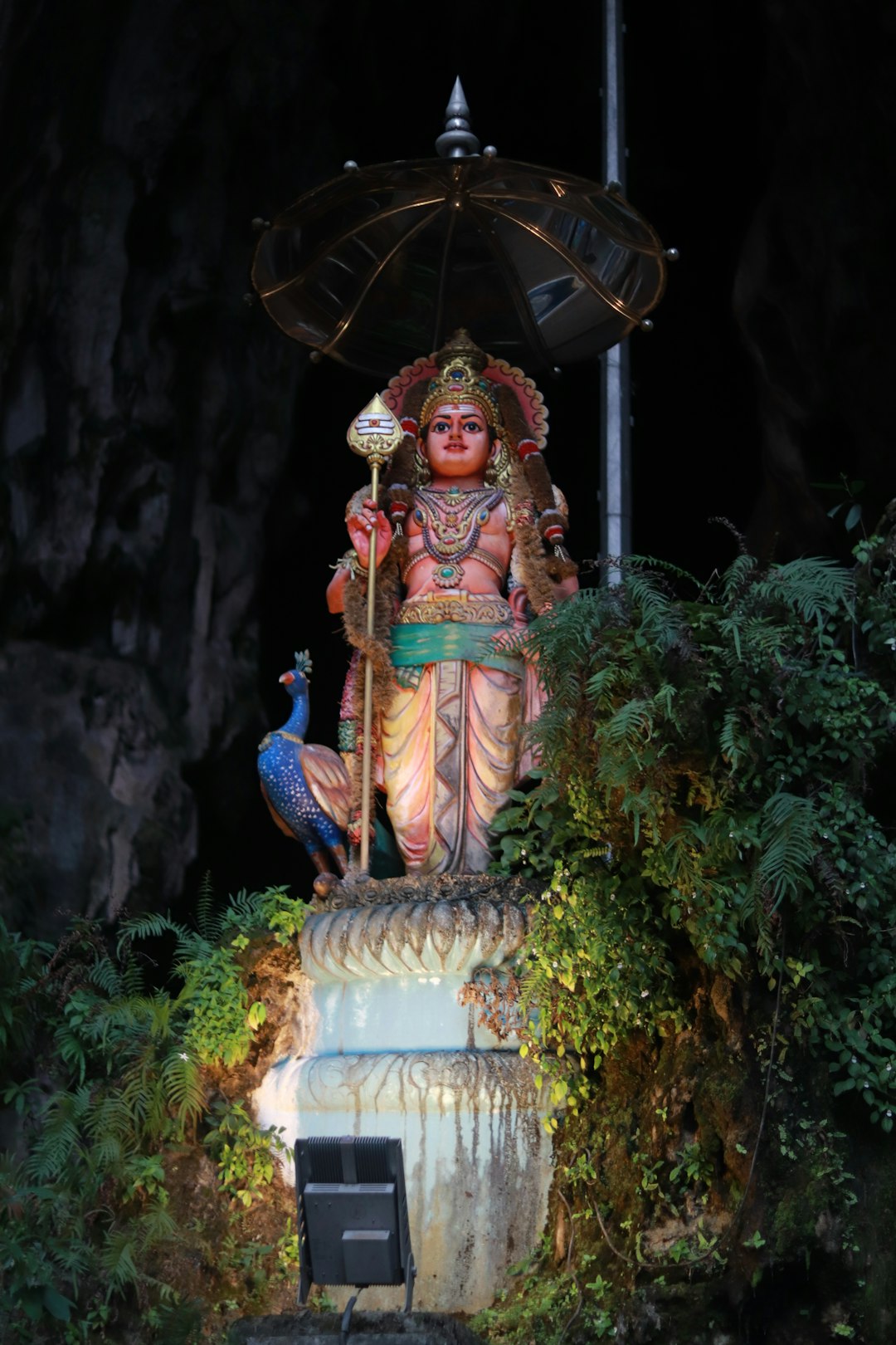 quia veniam 29