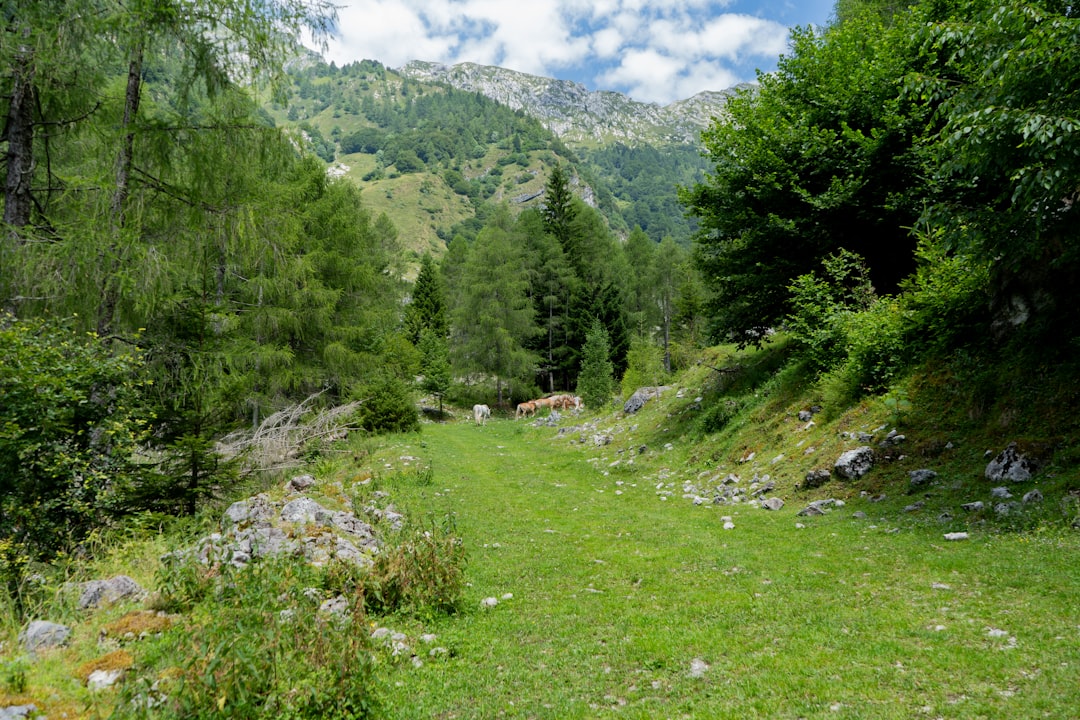 eos aspernatur fuga assumenda 23