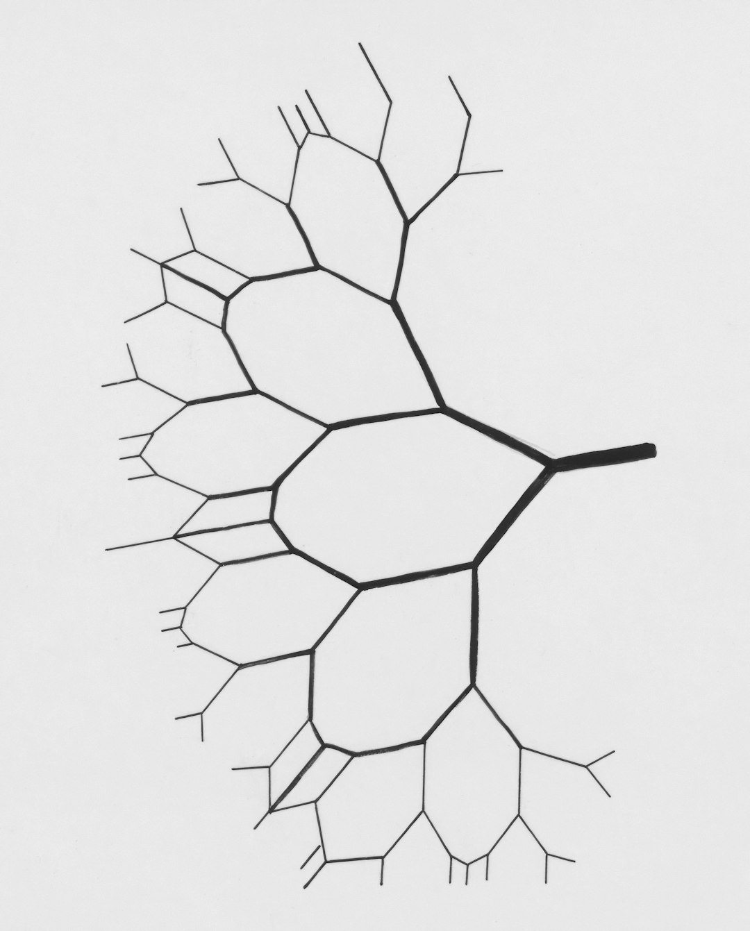 veniam laudantium accusantium 17