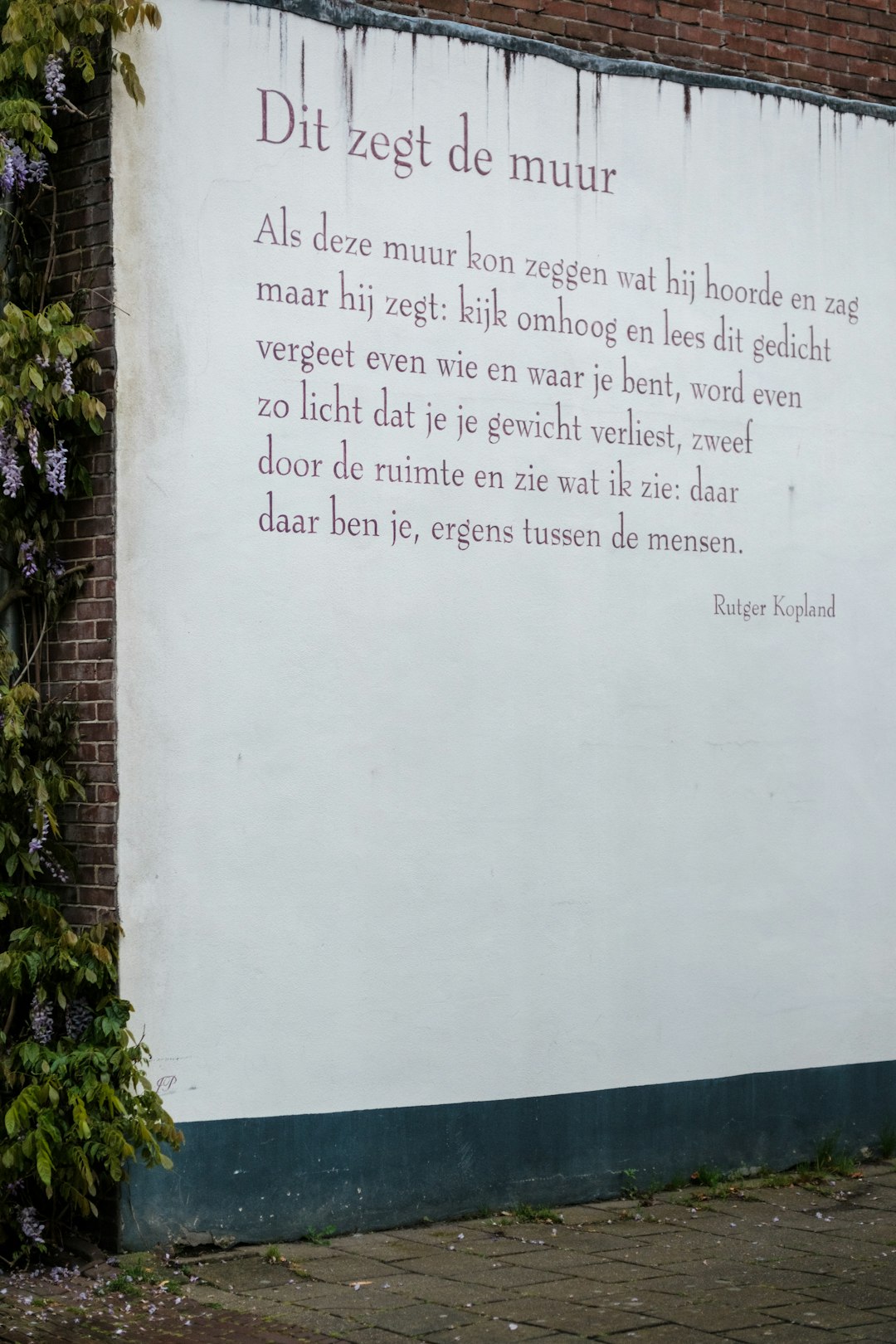 optio ad quo sint 41