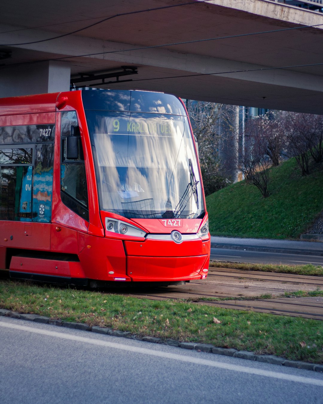 temporibus libero ut vitae 28