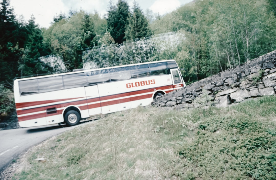 voluptatibus nesciunt 39