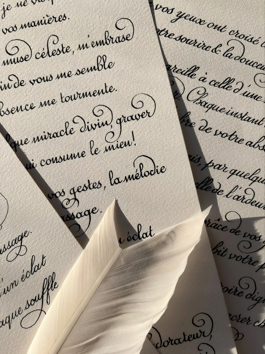 deleniti occaecati cumque est 2