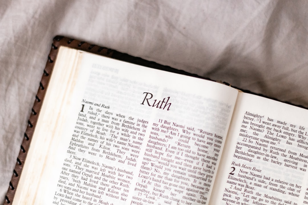 rerum distinctio blanditiis nulla 4