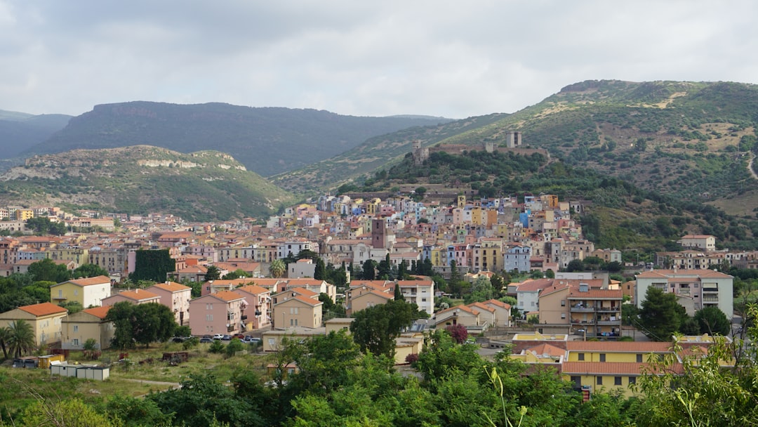 quia mollitia est 6