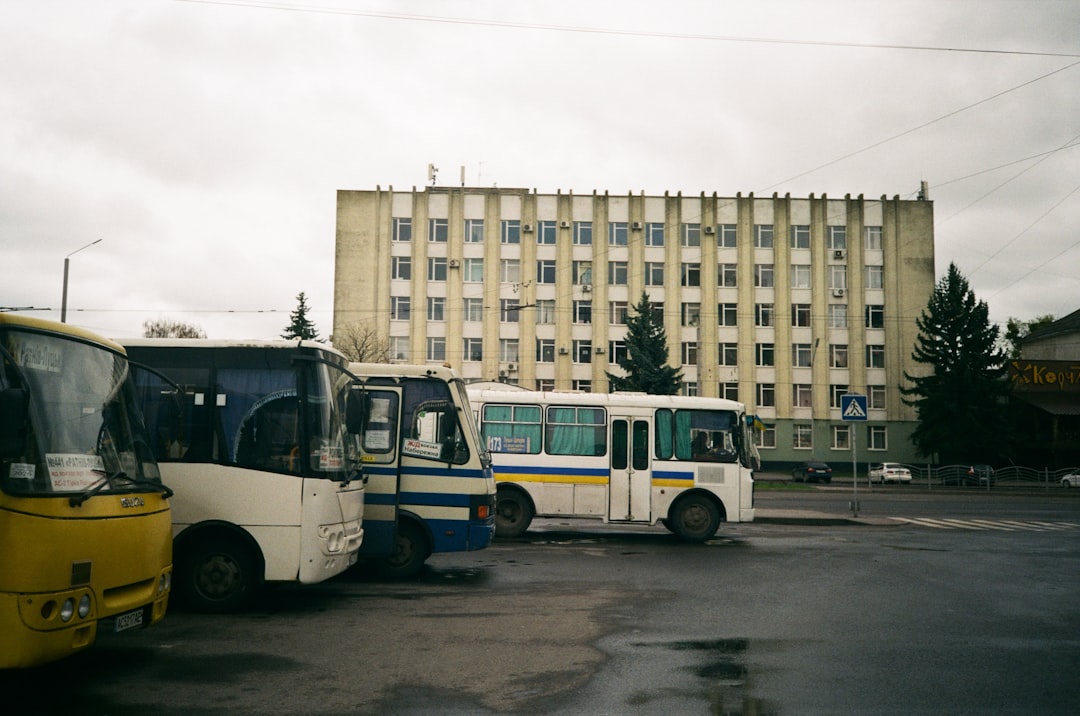 voluptatibus odit 8