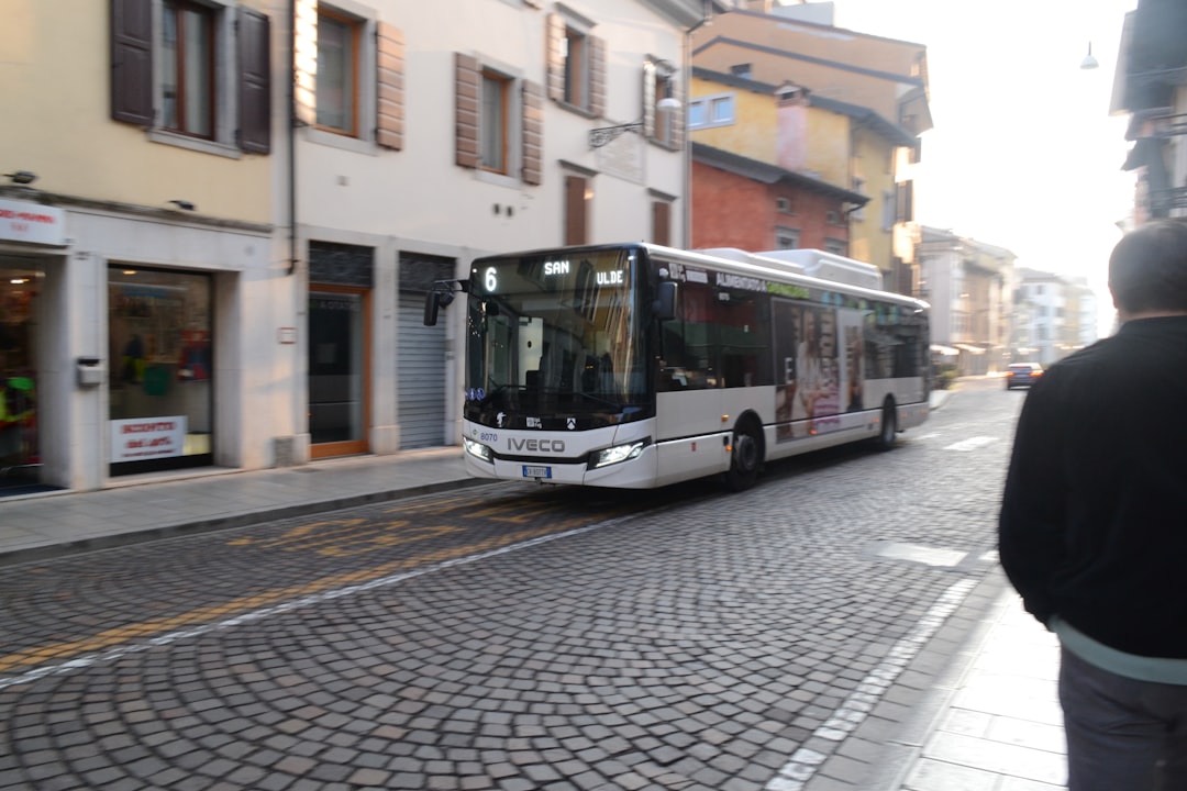 voluptatibus atque qui voluptas 8