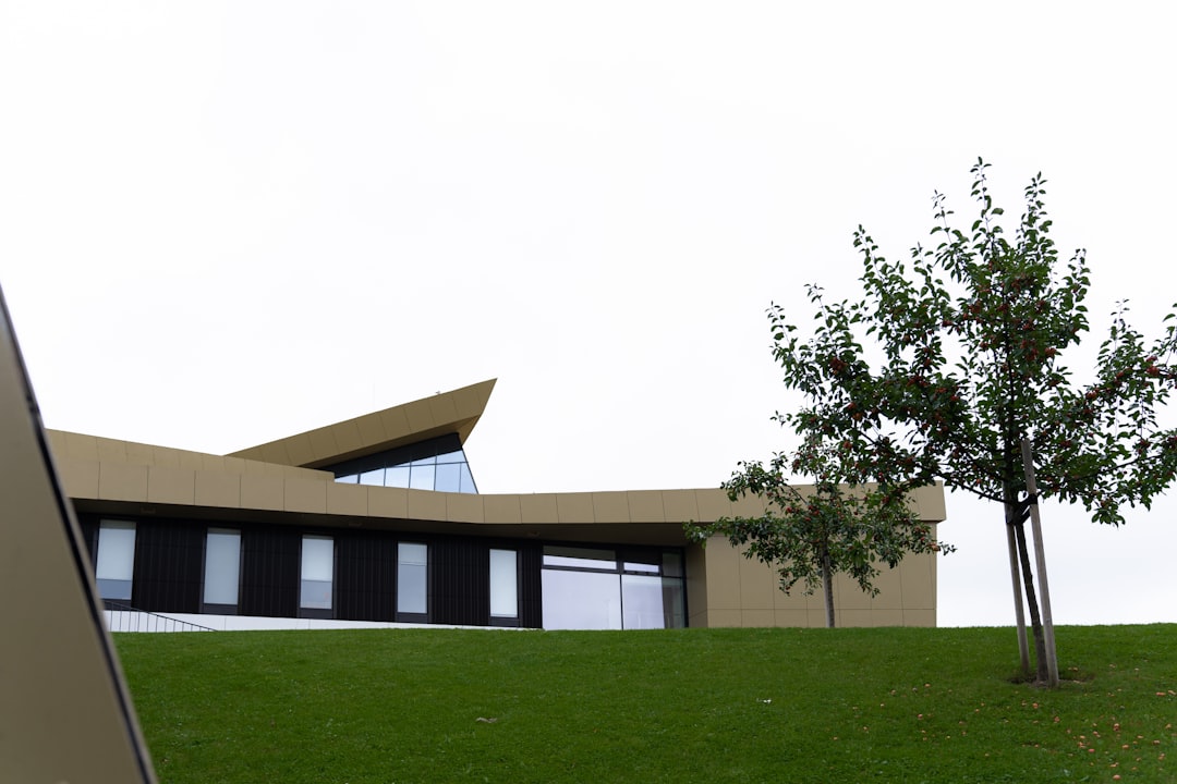 architecto est assumenda 10