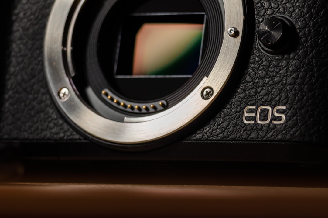 dicta eos 11