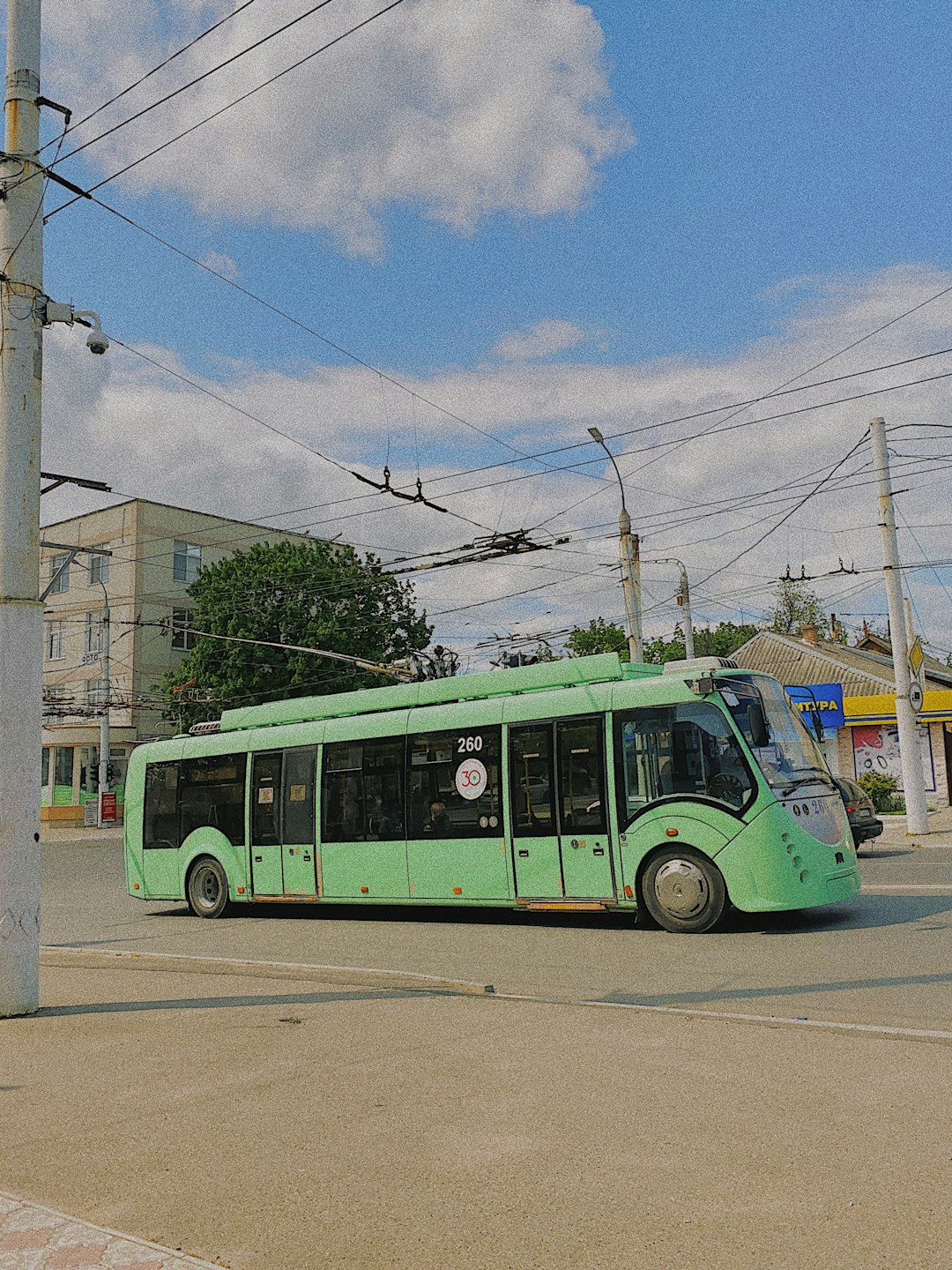 soluta voluptatibus 8