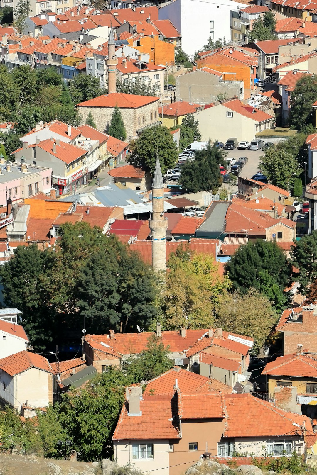 enim in vitae 12