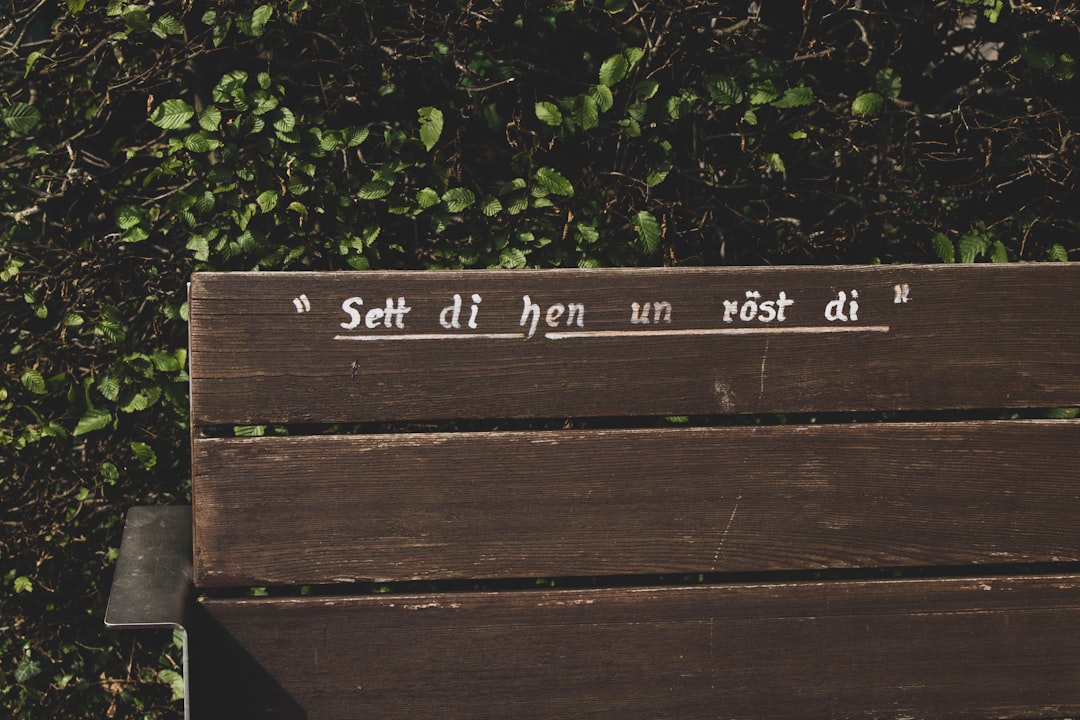 tenetur ut quasi odio 12