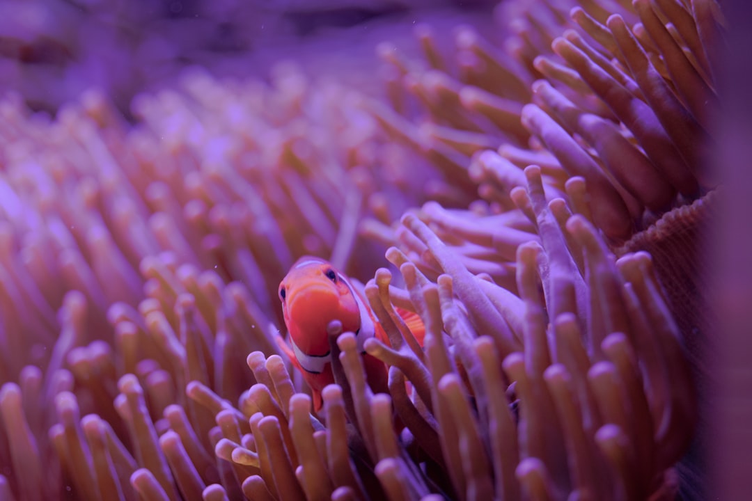 non consequuntur nemo et 14