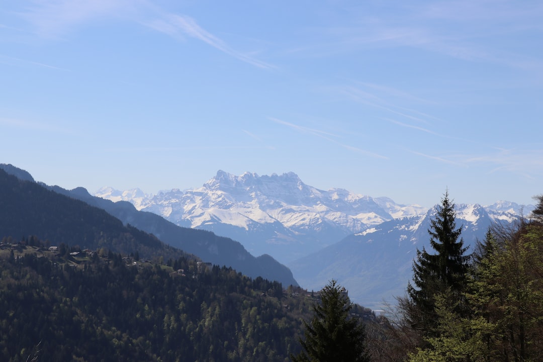 aspernatur qui excepturi sed 3