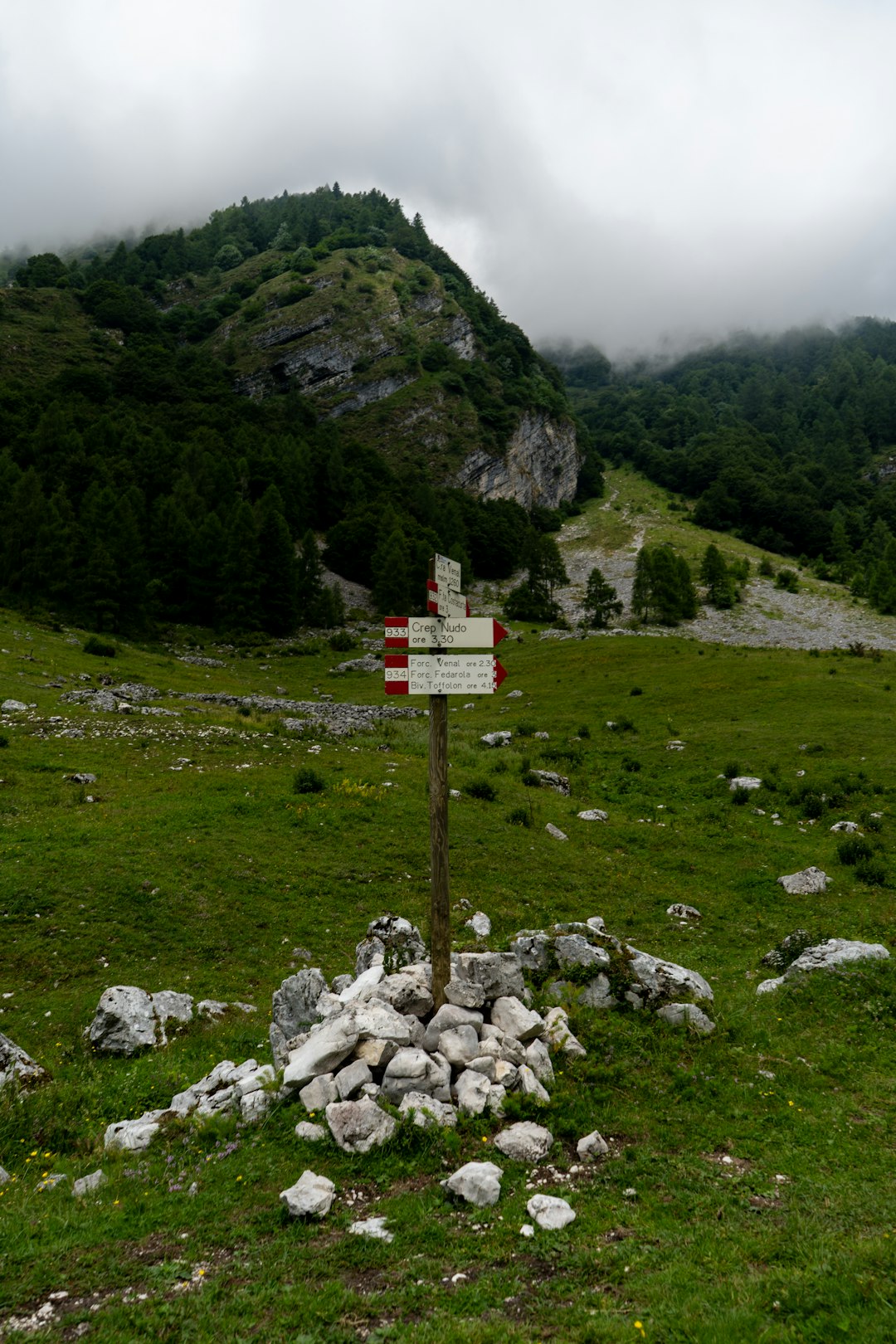 non et ut harum 14