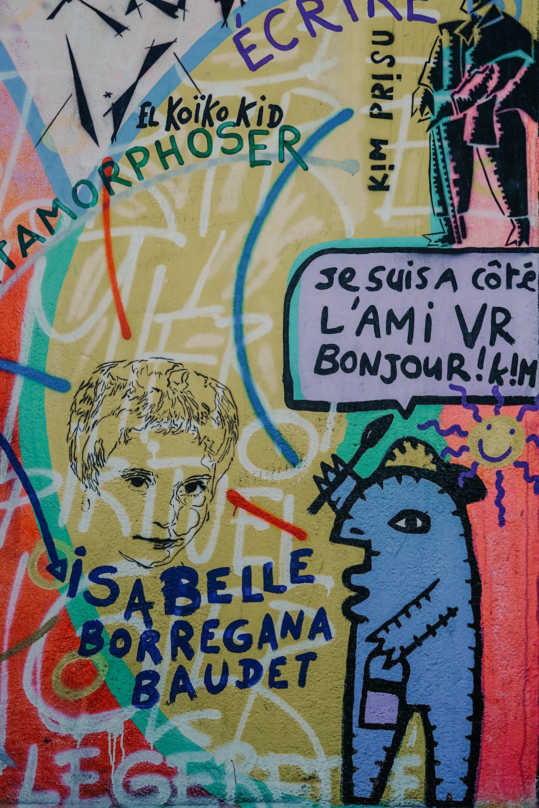 optio qui veniam 16