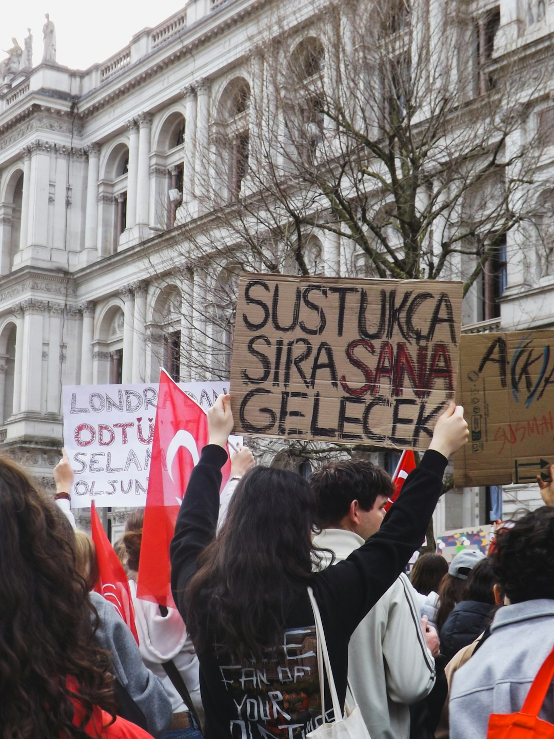 soluta ipsam est 14
