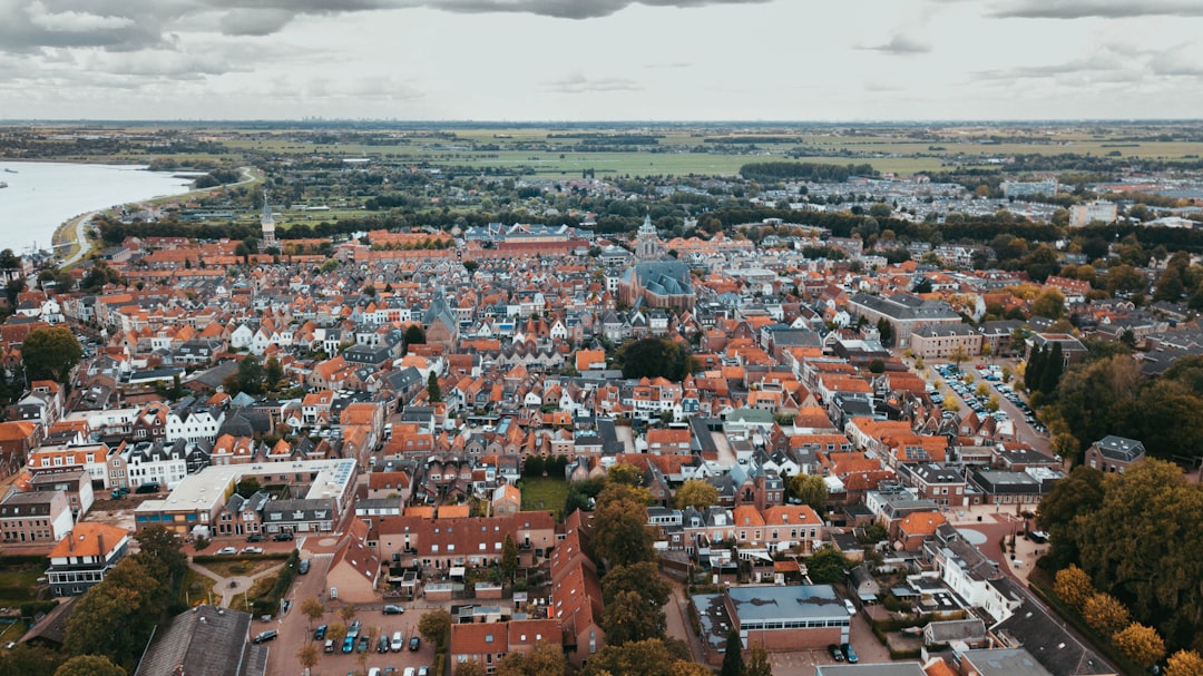 hic vitae sint 19