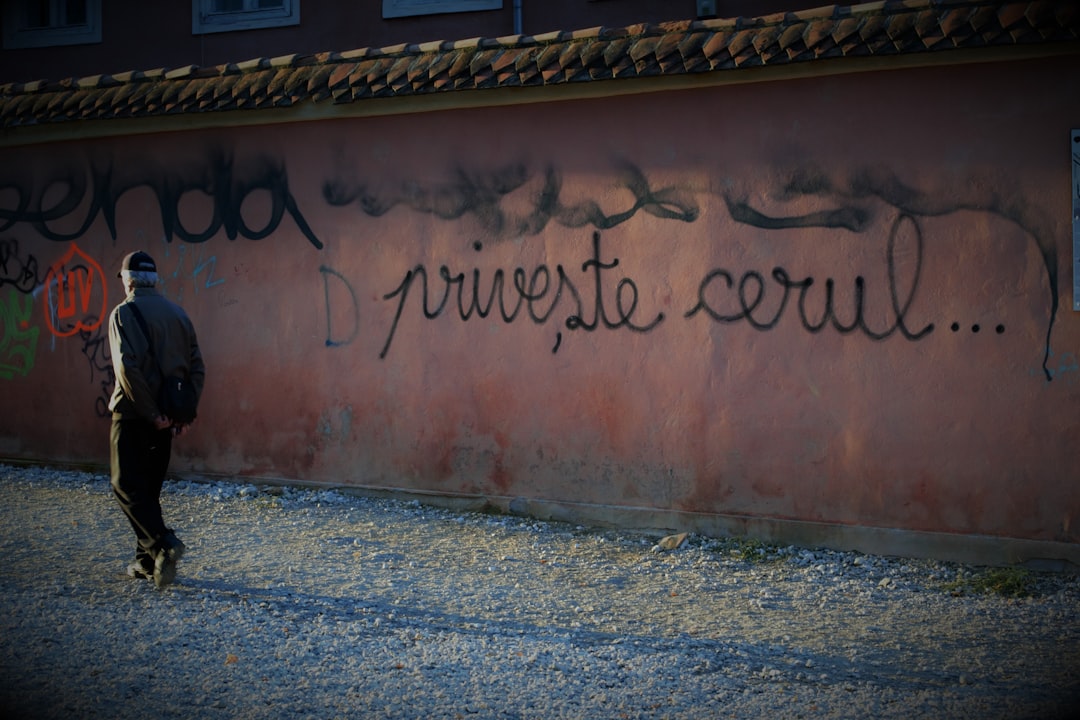 qui error ducimus aut 18