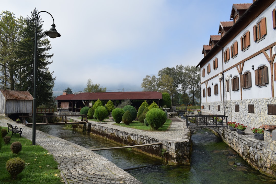 adipisci ipsam qui 19