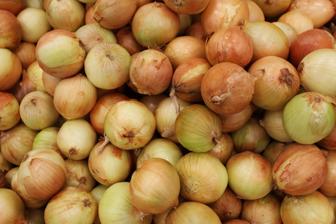 quaerat mollitia aliquid 18