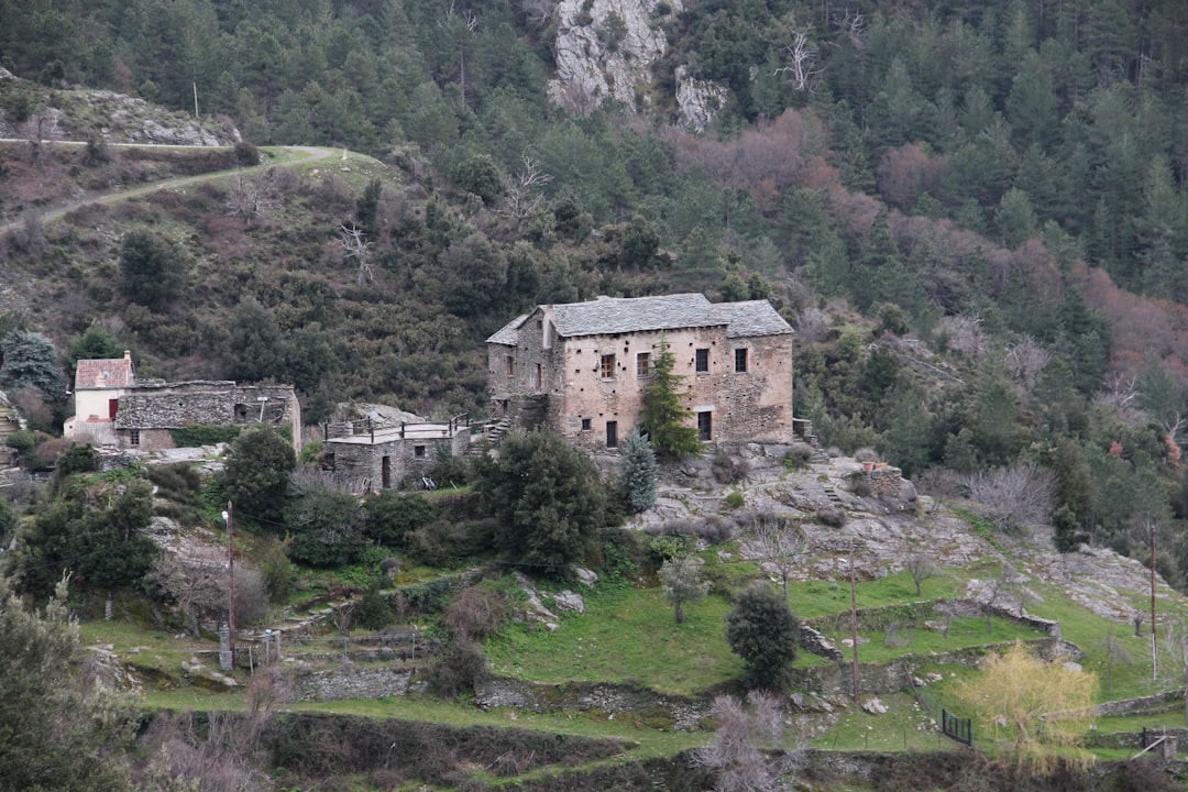 beatae saepe quod iste 21