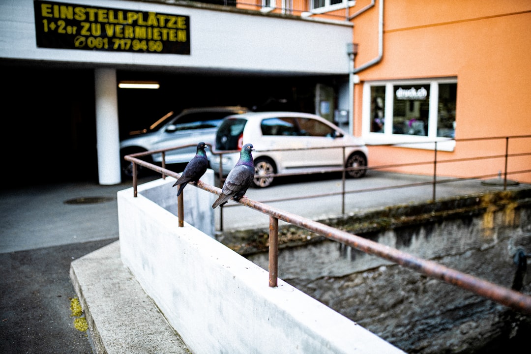 aut sit voluptate 23