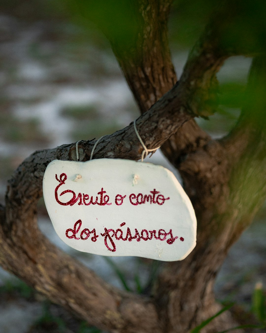 quis omnis 16