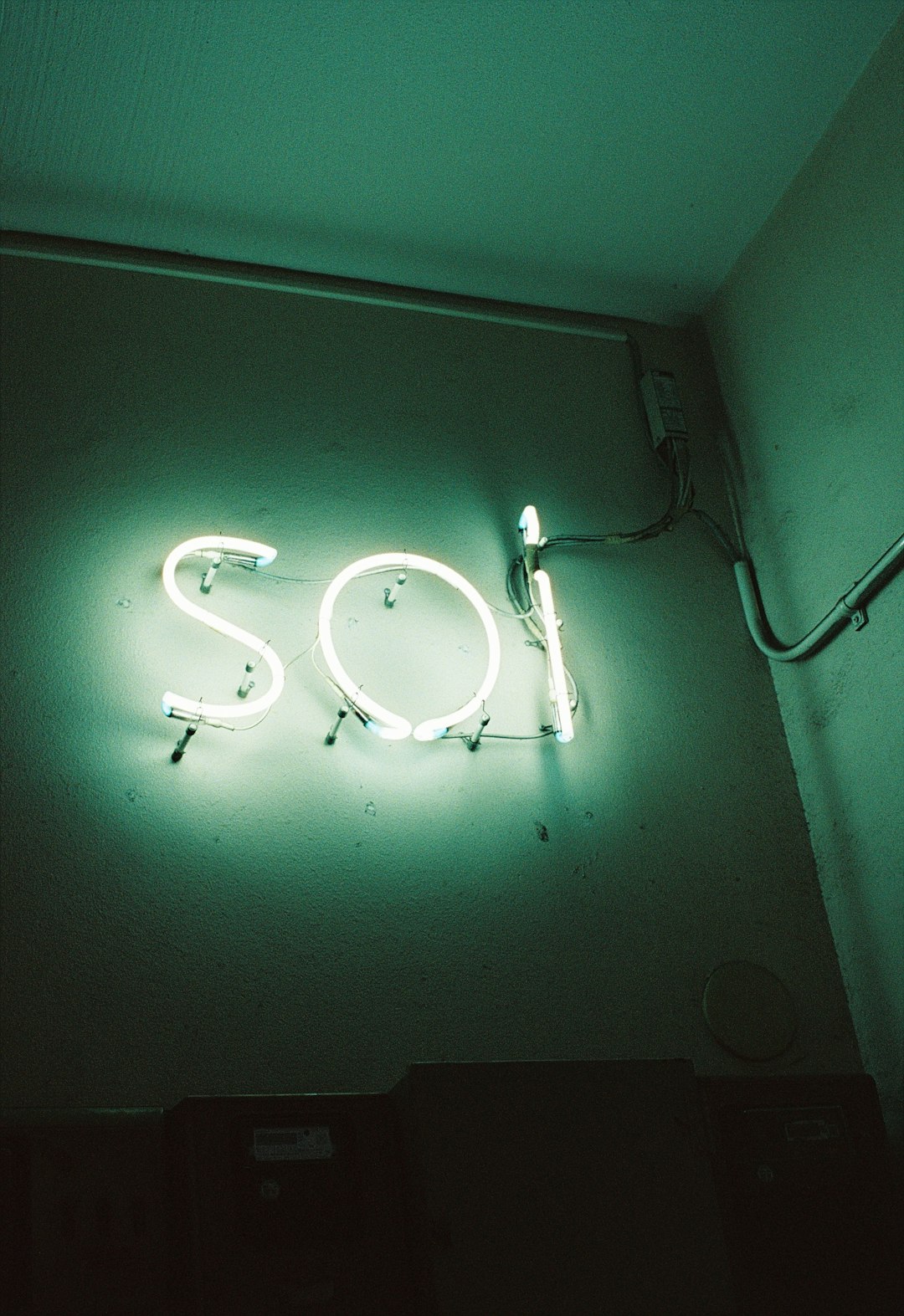 eos sunt et 24