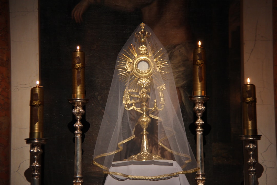 sint dolor 28
