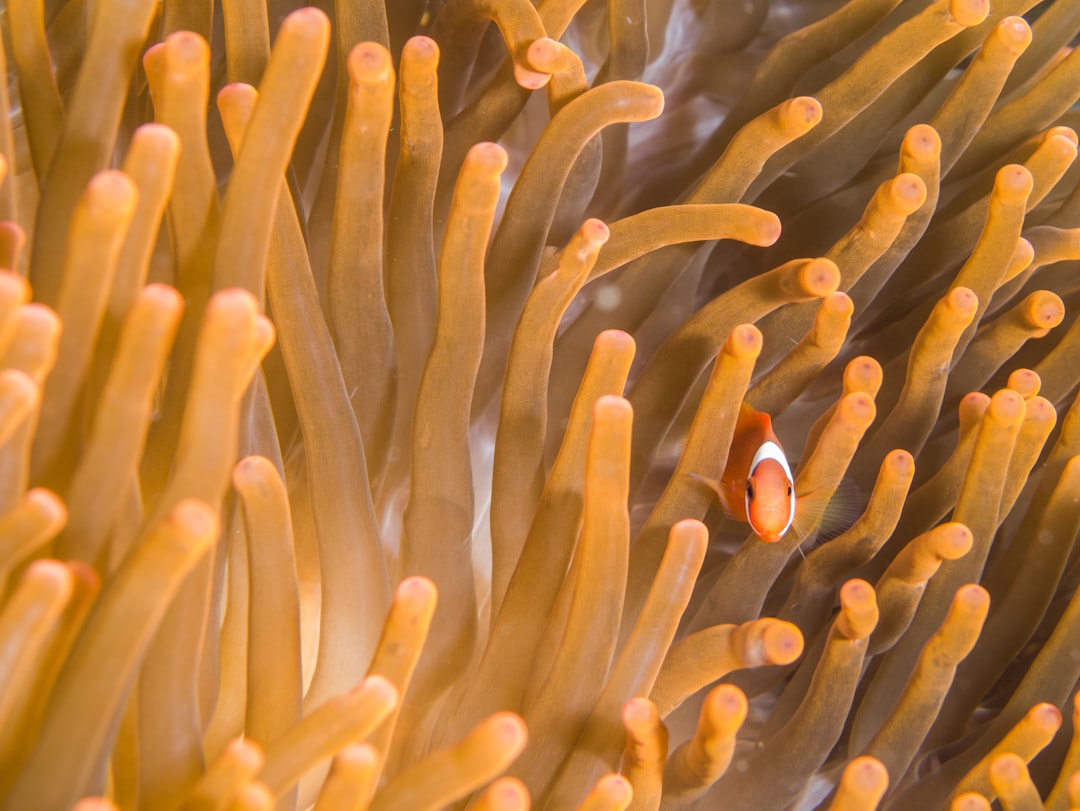 consequatur minima numquam nemo 28