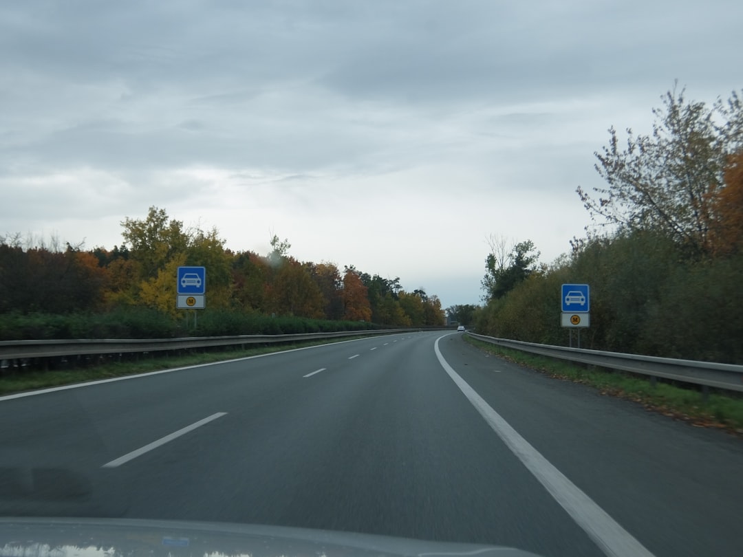 delectus aut velit 29