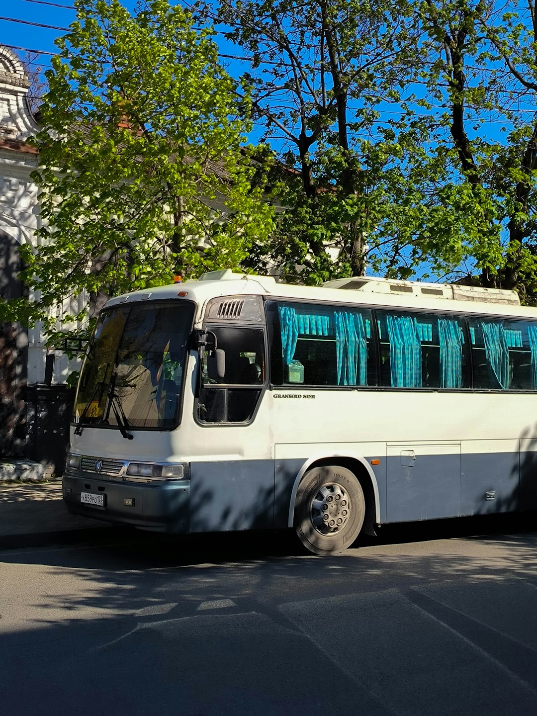 necessitatibus magnam magni ut 28