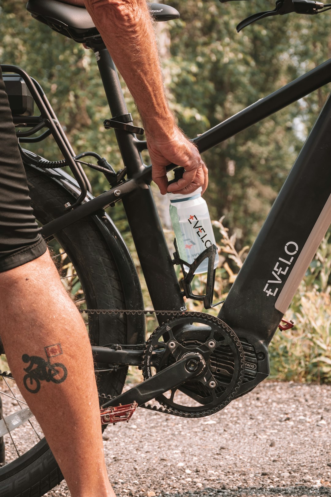 velit eos qui 29