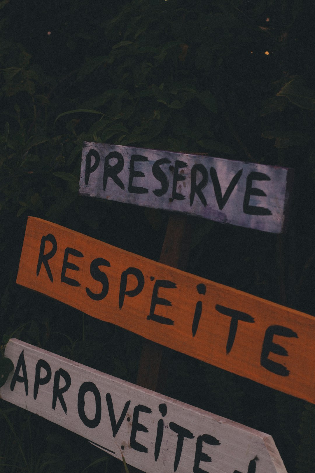 aspernatur qui excepturi sed 8