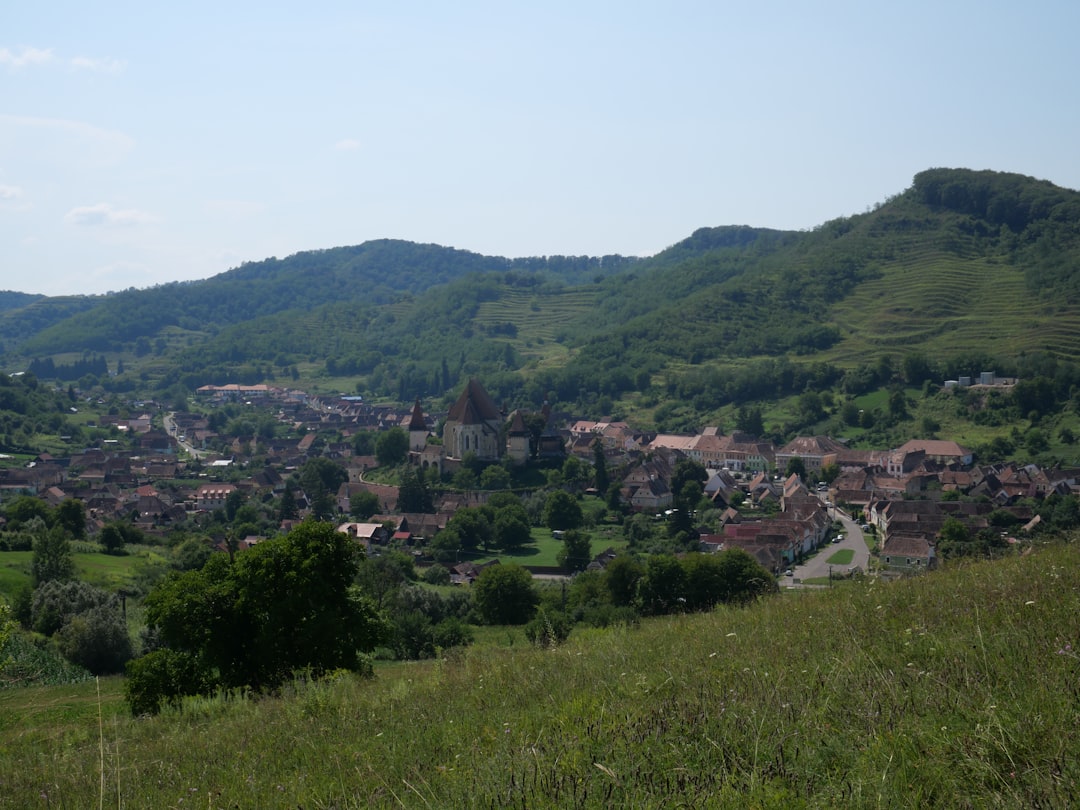 et molestiae et 30