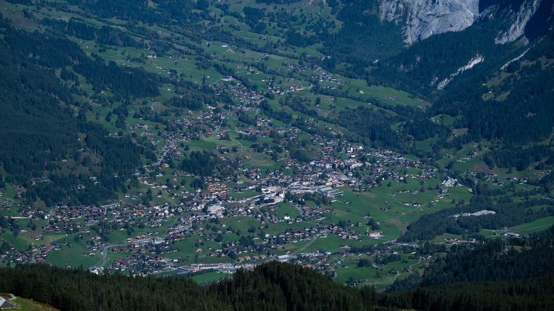 a voluptatem 24