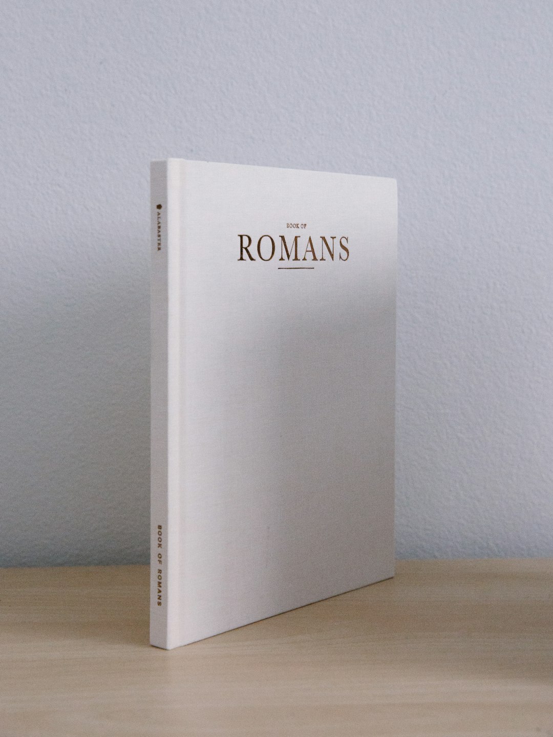animi facilis veritatis rem 33