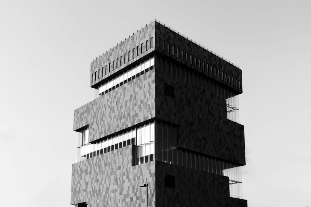 minus architecto non 29