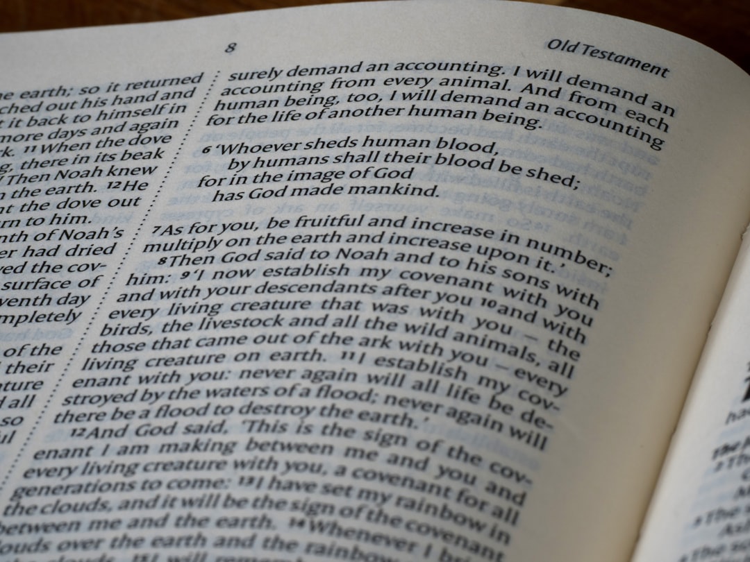 ipsum ut aut 38